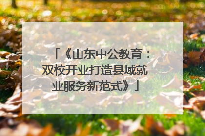 《山东中公教育：双校开业打造县域就业服务新范式》