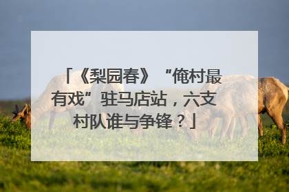 《梨园春》“俺村最有戏”驻马店站，六支村队谁与争锋？