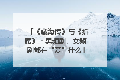 《藏海传》与《折腰》：男频剧、女频剧都在“爱”什么
