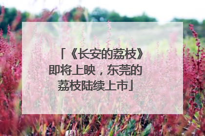 《长安的荔枝》即将上映，东莞的荔枝陆续上市