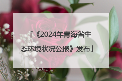 《2024年青海省生态环境状况公报》发布