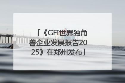 《GEI世界独角兽企业发展报告2025》在郑州发布