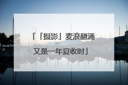 「摄影」麦浪翻涌 又是一年夏收时