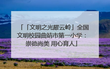 「文明之光耀云岭」全国文明校园曲靖市第一小学：崇德尚美 用心育人