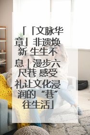 「文脉华章」非遗焕新 生生不息｜漫步六尺巷 感受礼让文化浸润的“巷”往生活