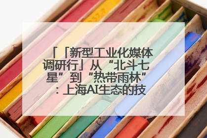 「新型工业化媒体调研行」从“北斗七星”到“热带雨林”：上海AI生态的技术商业共生密码