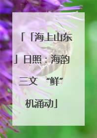 「海上山东」日照：海韵三文 “鲜”机涌动