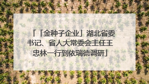 「金种子企业」湖北省委书记、省人大常委会主任王忠林一行到依瑞德调研