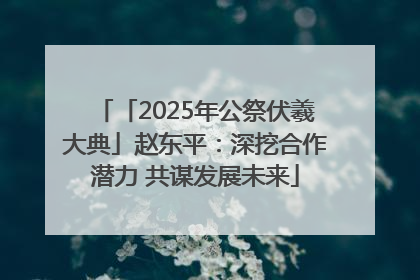 「2025年公祭伏羲大典」赵东平：深挖合作潜力 共谋发展未来