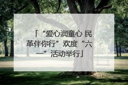 “爱心润童心 民革伴你行”欢度“六一”活动举行
