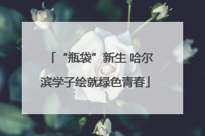 “瓶袋”新生 哈尔滨学子绘就绿色青春