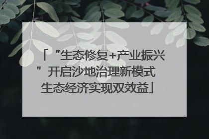 “生态修复+产业振兴”开启沙地治理新模式 生态经济实现双效益