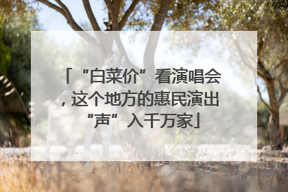 “白菜价”看演唱会，这个地方的惠民演出“声”入千万家