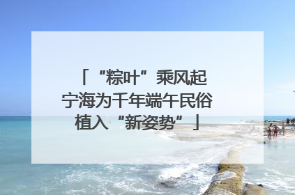 “粽叶”乘风起 宁海为千年端午民俗植入“新姿势”