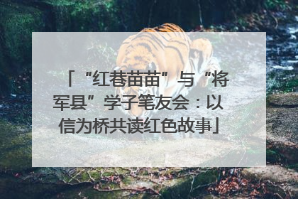 “红巷苗苗”与“将军县”学子笔友会：以信为桥共读红色故事