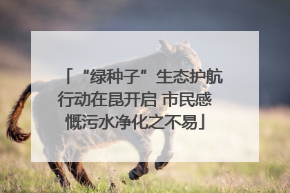 “绿种子”生态护航行动在昆开启 市民感慨污水净化之不易
