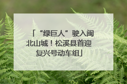 “绿巨人”驶入闽北山城！松溪县首迎复兴号动车组