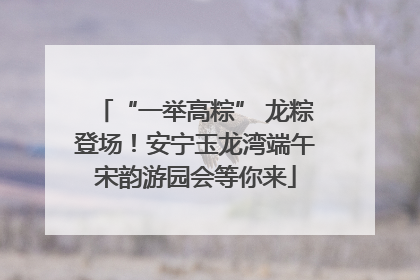 “一举高粽” 龙粽登场！安宁玉龙湾端午宋韵游园会等你来