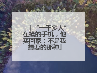 “一千多人”在抢的手机，他买回家：不是我想要的那种