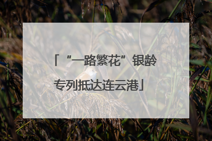 “一路繁花”银龄专列抵达连云港