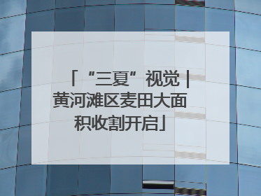 “三夏”视觉｜黄河滩区麦田大面积收割开启