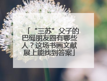 “三苏”父子的巴蜀朋友圈有哪些人？这场书画文献展上能找到答案
