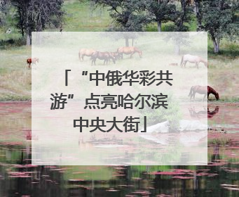 “中俄华彩共游”点亮哈尔滨中央大街
