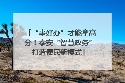 “事好办”才能拿高分！泰安“智慧政务”打造便民新模式