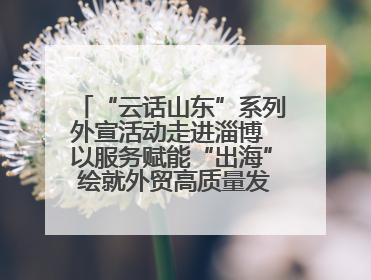 “云话山东”系列外宣活动走进淄博 以服务赋能“出海” 绘就外贸高质量发展新图景