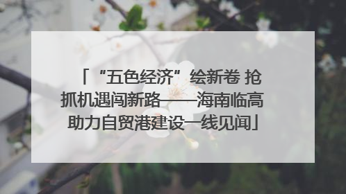 “五色经济”绘新卷 抢抓机遇闯新路——海南临高助力自贸港建设一线见闻