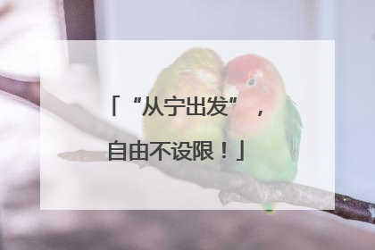 “从宁出发”，自由不设限！