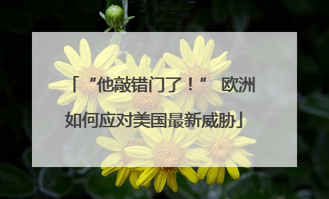 “他敲错门了！” 欧洲如何应对美国最新威胁