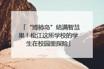 “博柿岛”结满智慧果！松江这所学校的学生在校园里探险
