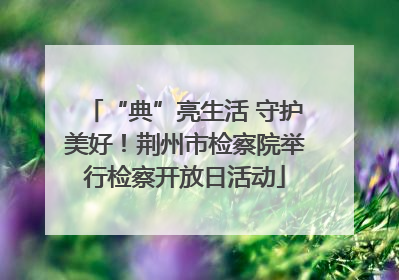 “典”亮生活 守护美好！荆州市检察院举行检察开放日活动