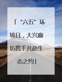 “六五”环境日，大兴廊坊携手共赴生态之约