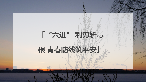 “六进” 利刃斩毒根 青春防线筑平安