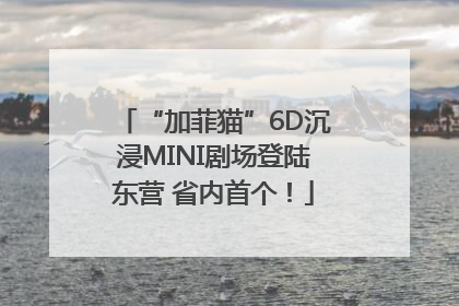 “加菲猫”6D沉浸MINI剧场登陆东营 省内首个！