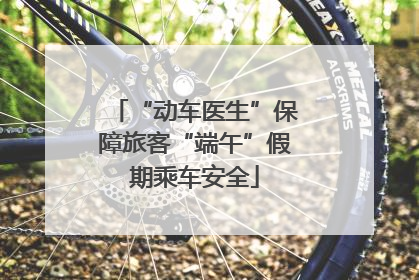 “动车医生”保障旅客“端午”假期乘车安全