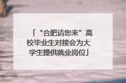 “合肥请您来”高校毕业生对接会为大学生提供就业岗位