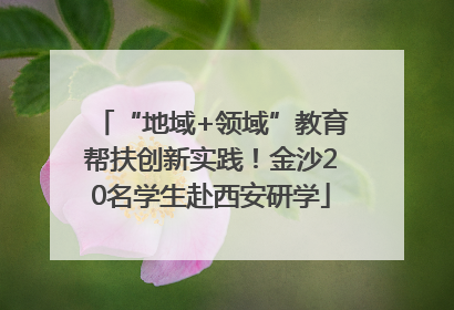 “地域+领域”教育帮扶创新实践！金沙20名学生赴西安研学