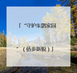 “守护朱鹮家园”（侨乡新貌）