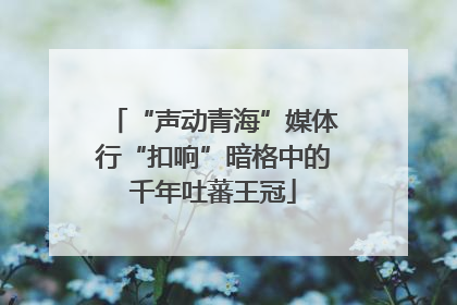 “声动青海”媒体行“扣响”暗格中的千年吐蕃王冠