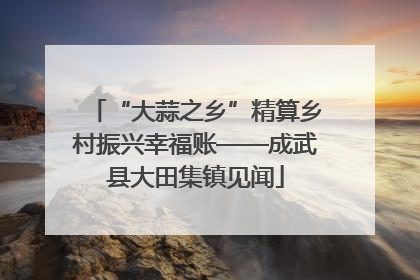 “大蒜之乡”精算乡村振兴幸福账——成武县大田集镇见闻