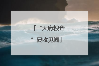 “天府粮仓”夏收见闻