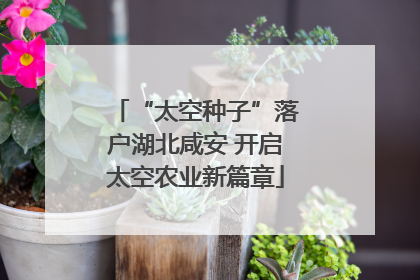 “太空种子”落户湖北咸安 开启太空农业新篇章