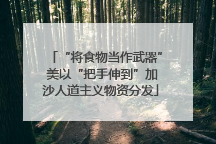 “将食物当作武器” 美以“把手伸到”加沙人道主义物资分发
