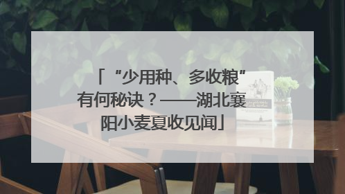 “少用种、多收粮”有何秘诀？——湖北襄阳小麦夏收见闻