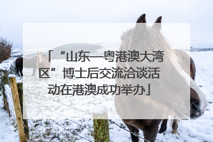 “山东—粤港澳大湾区”博士后交流洽谈活动在港澳成功举办