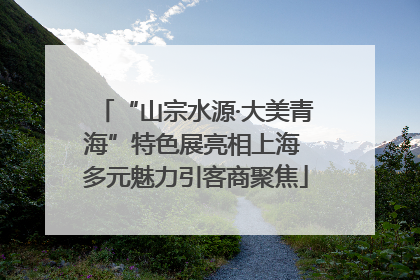 “山宗水源·大美青海”特色展亮相上海 多元魅力引客商聚焦