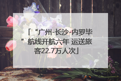 “广州-长沙-内罗毕”航线开航六年 运送旅客22.7万人次